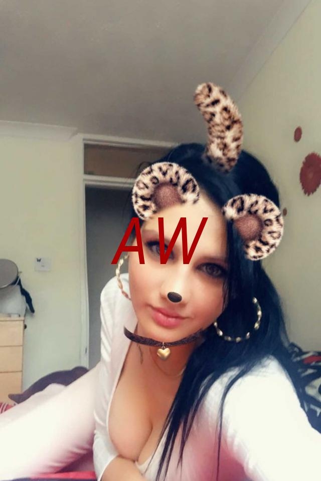 22e912f1-0e92-4719-bf5c-6d97dfdfa416-1682012322726.webp