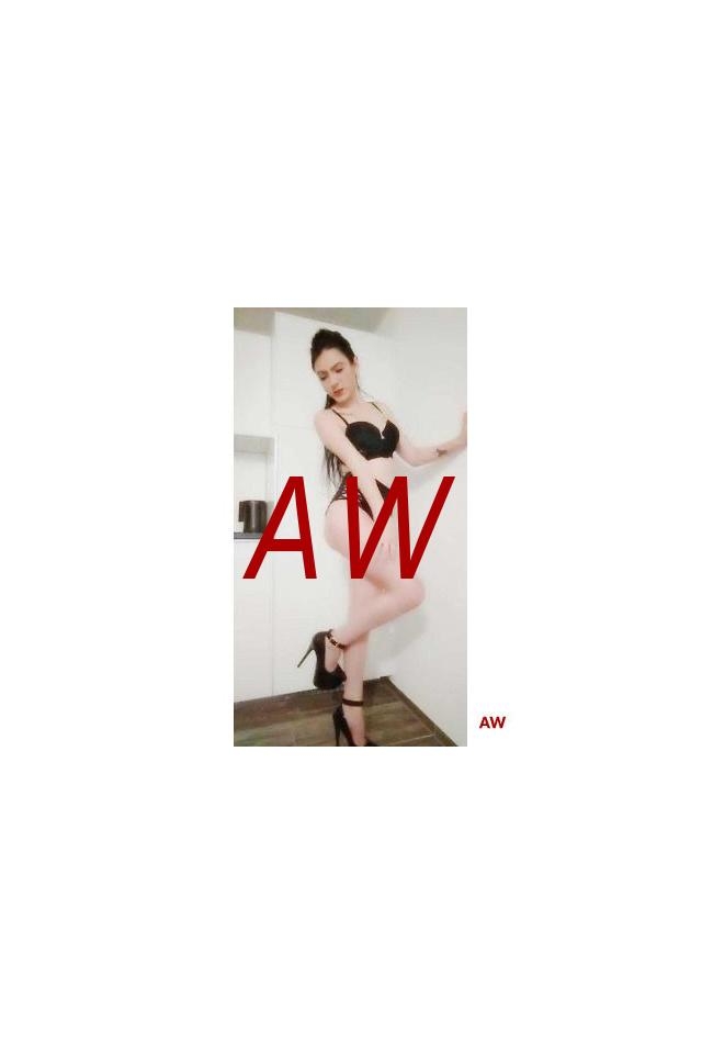 4cd81510-e9c0-48d9-81b5-1a78fa881bf3-1682010588863.webp