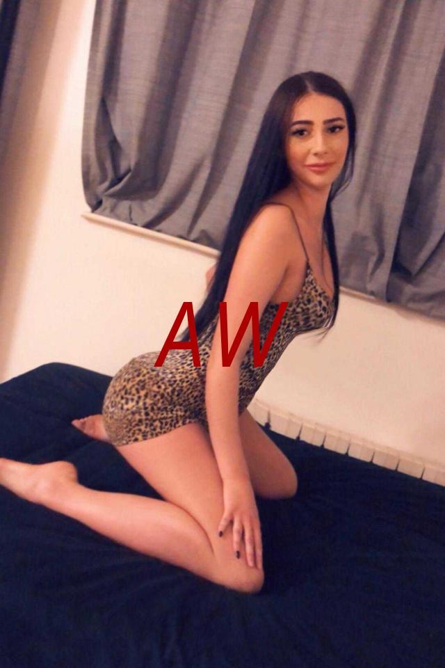 517a04d8-d949-4089-b1f1-ae6981bf11d1-1682012331035.webp