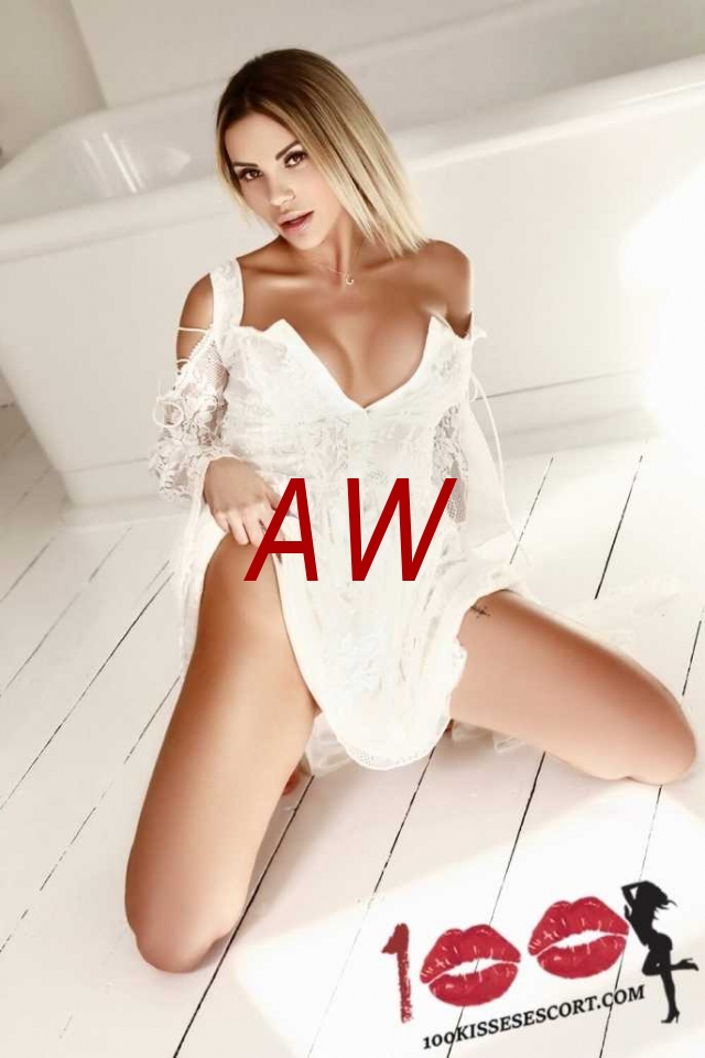935cc72d-33b5-46aa-a313-31d0c7ad00ea-1682012612524.webp