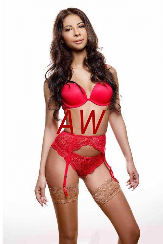 9e7287c2-2f44-4167-8ce2-ce0e65209aee-1682012630767.webp