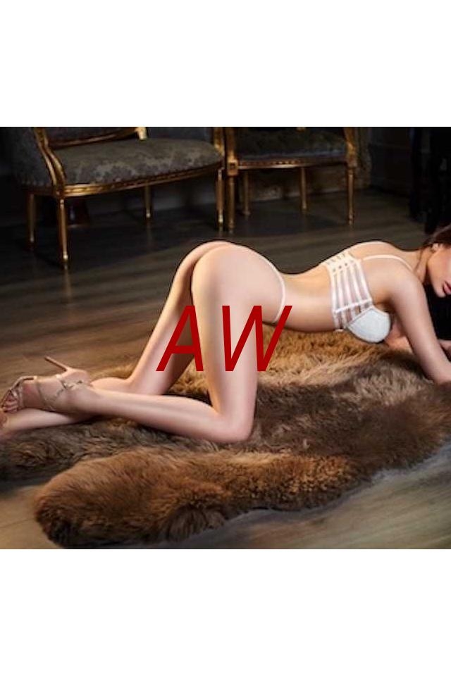 c2b3e52d-ddb5-45a6-96b8-a2bf83f95451-1682011902461.webp