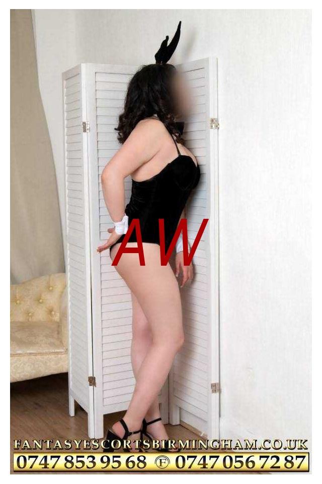 52a0893c-d7ba-4bf8-aab7-37d7610aaf37-1682010799934.webp