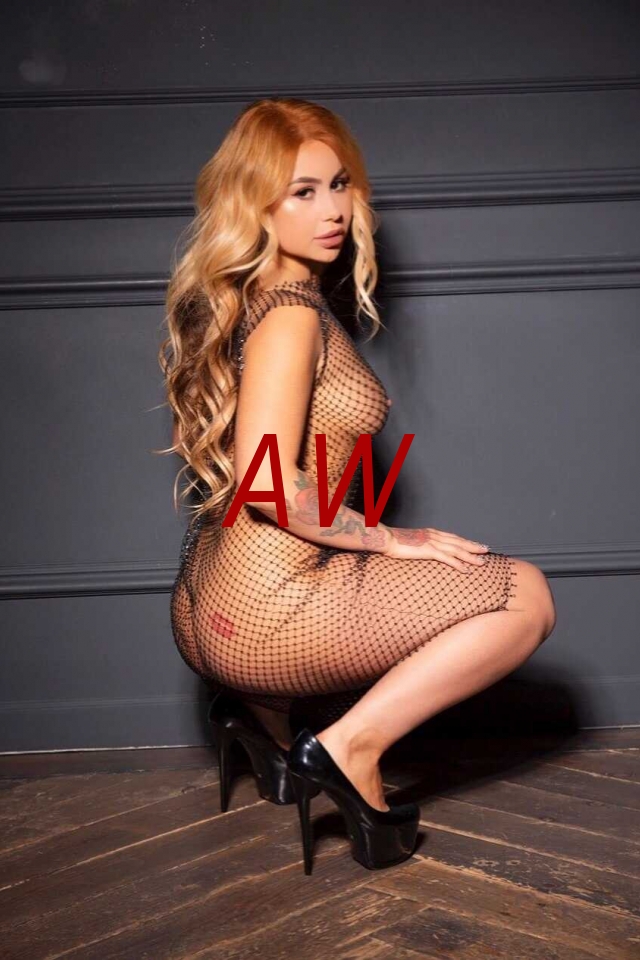 7ab870af-924e-4f8f-9568-8ecd5fbbf5c7-1682012621161.webp